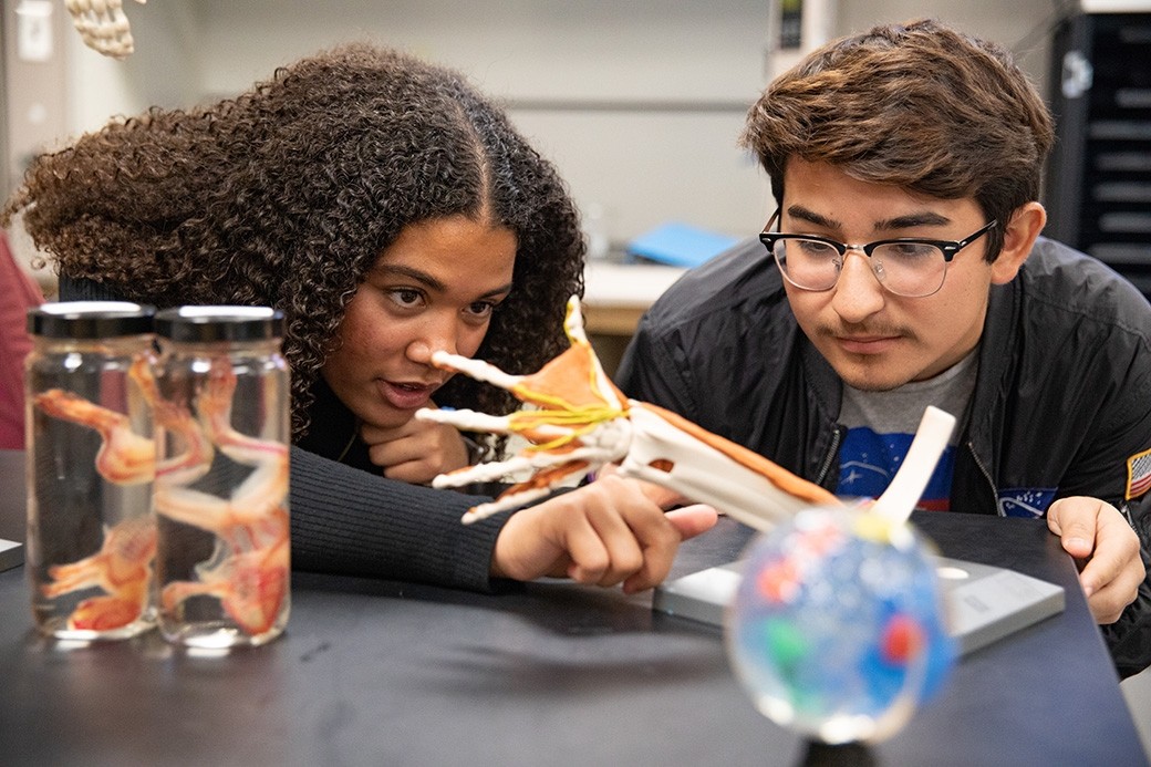 Students studying an anatomy model together in science class.