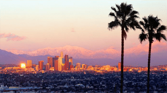 Wide shot of Los Angeles with palm trees in the foreground.