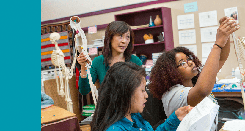 Students sculpt a clay model of the endocrine system.