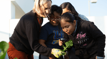 Teacher holding a plant while students study it with a microscope.