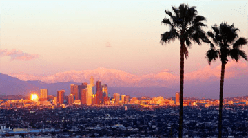 Wide shot of Los Angeles with palm trees in the foreground.