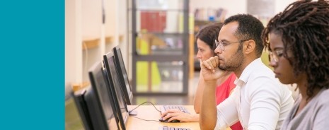 Adults sitting in front of computer monitors