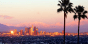 Wide shot of Los Angeles with palm trees in the foreground.